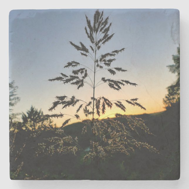 Posavasos De Piedra Johnson Grass (Anverso)