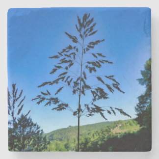 Posavasos De Piedra Johnson Grass