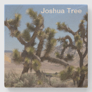 Posavasos De Piedra Joshua Tree en California