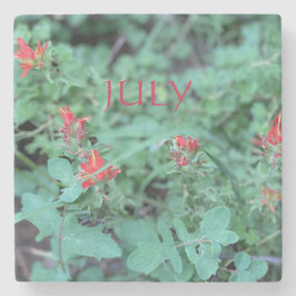 POSAVASOS DE PIEDRA JULIO