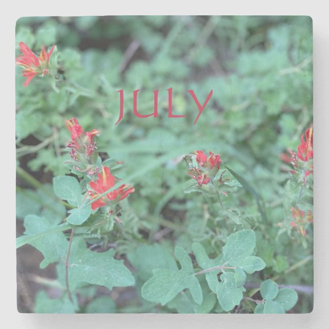 POSAVASOS DE PIEDRA JULIO (Anverso)