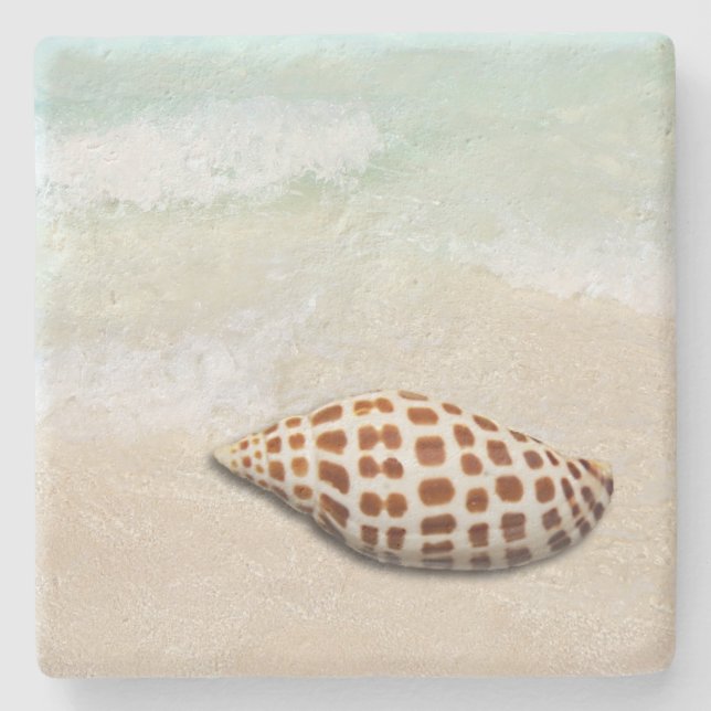 Posavasos De Piedra Junonia Seashell en las playas de montaña (Anverso)