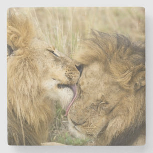 Posavasos De Piedra Kenia, Masai Mara