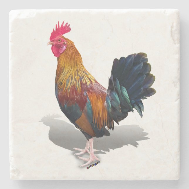 Posavasos De Piedra Key West - Gypsy Rooster (Anverso)