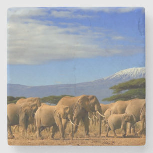 Posavasos De Piedra Kilimanjaro y elefantes