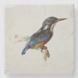 Posavasos De Piedra Kingfisher (por John Ruskin)