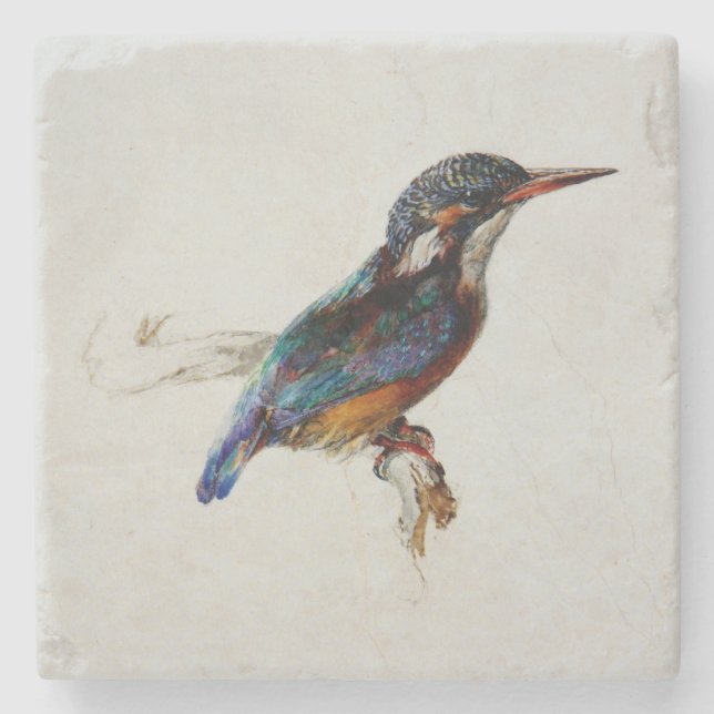 Posavasos De Piedra Kingfisher (por John Ruskin) (Anverso)