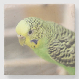 Posavasos De Piedra Kiwi