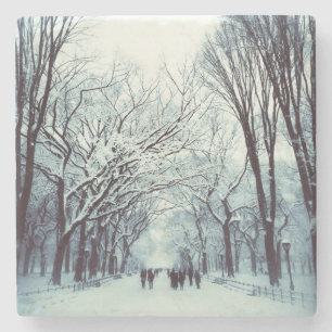 Posavasos De Piedra La alameda del Central Park en invierno