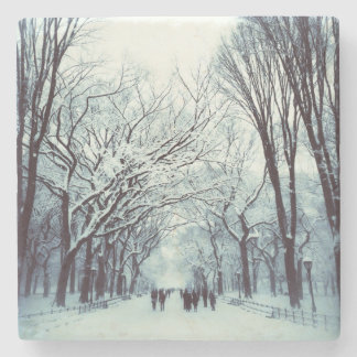 Posavasos De Piedra La alameda del Central Park en invierno
