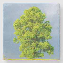 Posavasos De Piedra La belleza en la tormenta