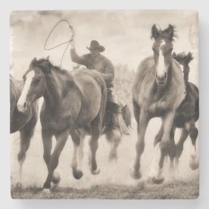 Posavasos De Piedra La caza I