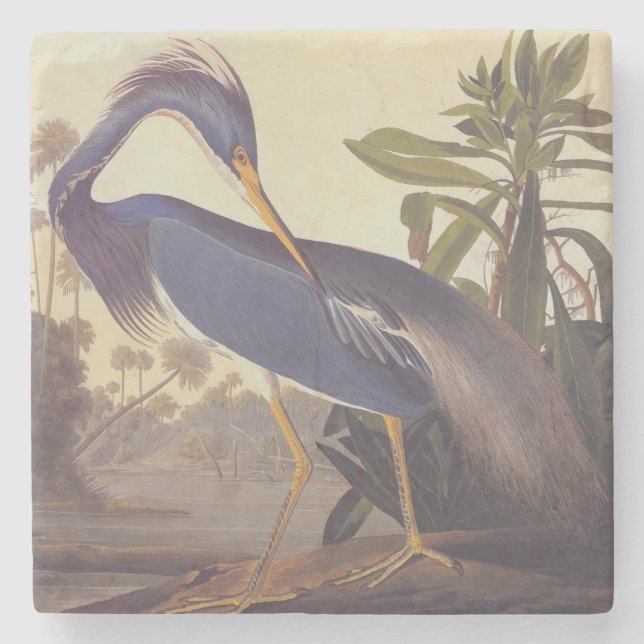 Posavasos De Piedra La garza de Luisiana de Audubon o la garza tricolo (Anverso)