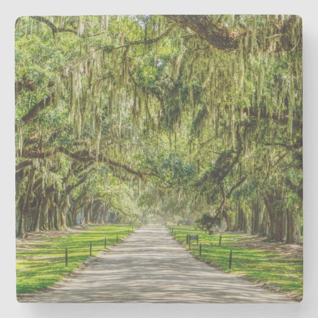 Posavasos De Piedra La Hermosa Avenida De Los Oaks (Anverso)