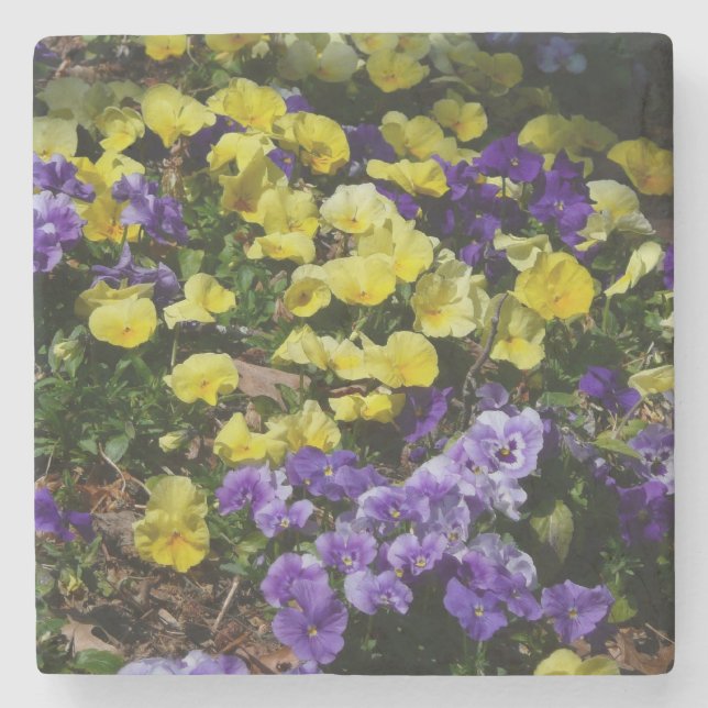 Posavasos De Piedra La ladera de los Pansies morado y amarillo (Anverso)