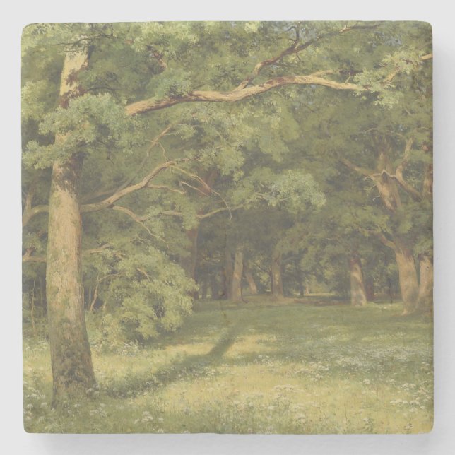 Posavasos De Piedra La limpieza forestal (paisaje de Woodland) (Anverso)