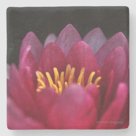 Posavasos De Piedra La Lirio del Agua