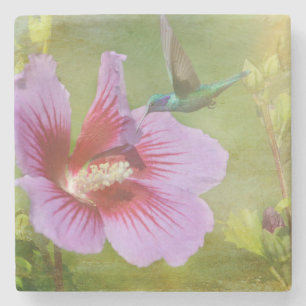 Posavasos De Piedra La montaña rusa de la piedra del néctar