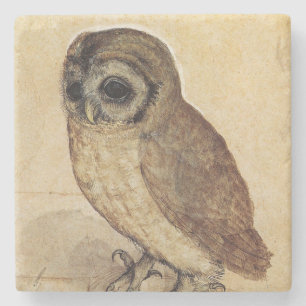 Posavasos De Piedra La pequeña lechuza (de Albrecht Durer)