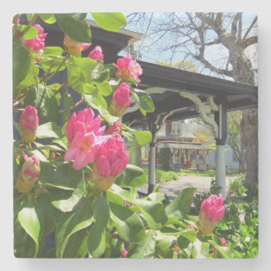 Posavasos De Piedra La primavera florece en la ciudad de Cottage - Viñ