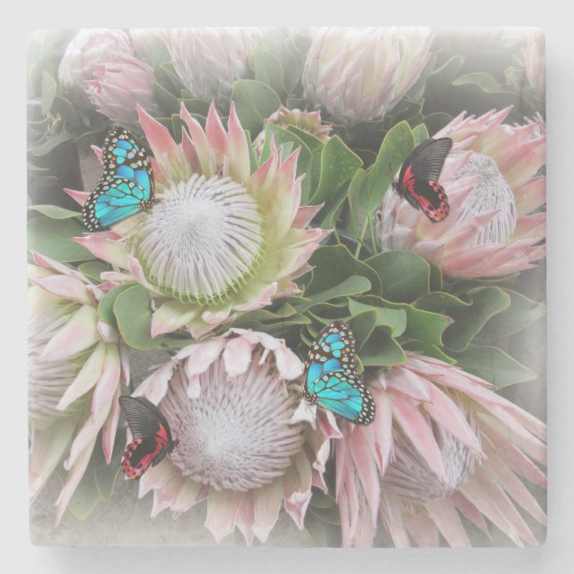 Posavasos De Piedra La Protea del Rey (Anverso)