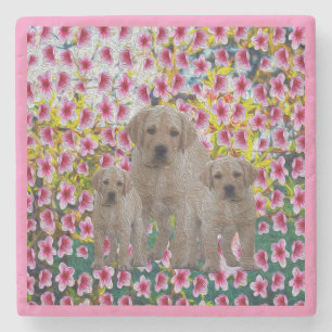 Posavasos De Piedra Labrador Cachorro Óleo Pintura,  