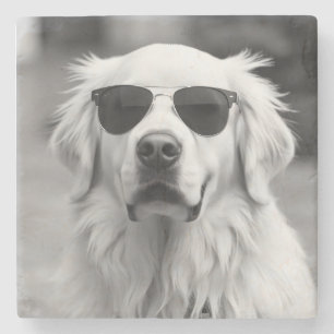 Posavasos De Piedra Labrador Cool con Gafas de Sol – Diseño Divertido 