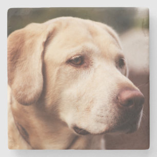 Posavasos De Piedra Labrador Retriever