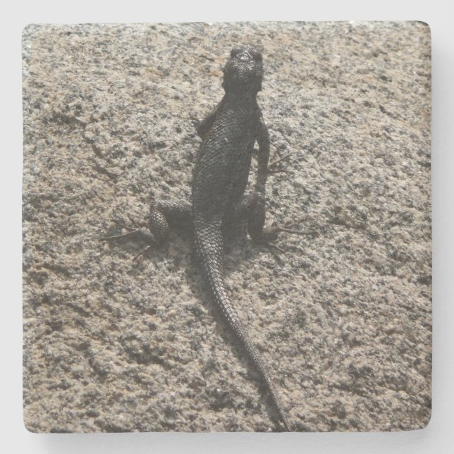 Posavasos De Piedra Lagarto Negro (Anverso)