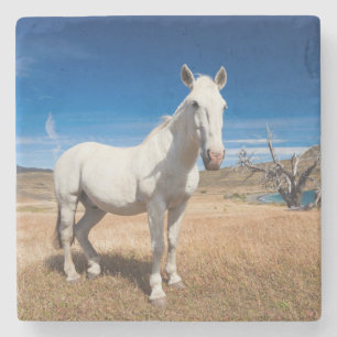 Posavasos De Piedra Laguna Azul, paisaje con caballos