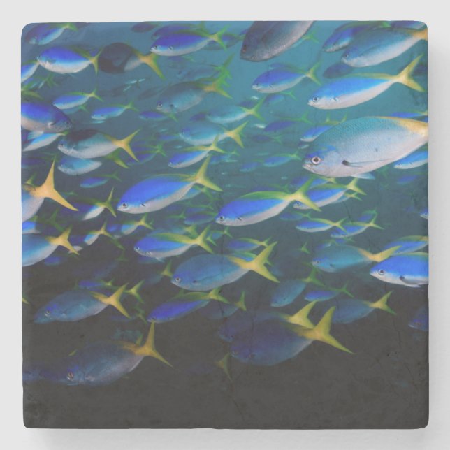 Posavasos De Piedra Laja Ampat 5 subacuáticos (Anverso)