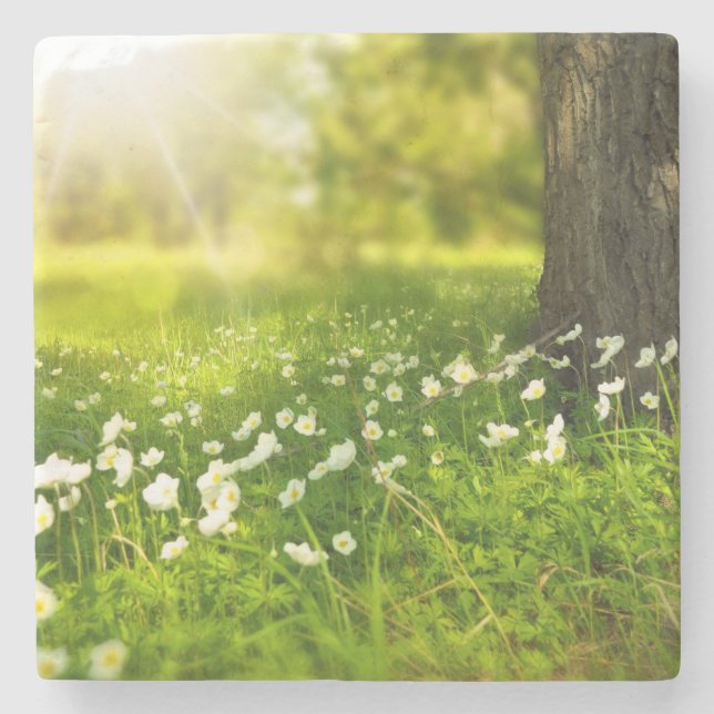 Posavasos De Piedra Las alegrías de la primavera (Anverso)