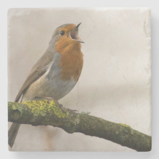 Posavasos De Piedra las aves son los únicos animales con plumas 3
