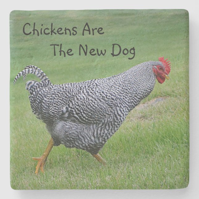 Posavasos De Piedra Las Gallinas Son El Nuevo Perro (Anverso)