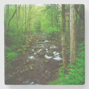 Posavasos De Piedra Las grandes montañas humeantes