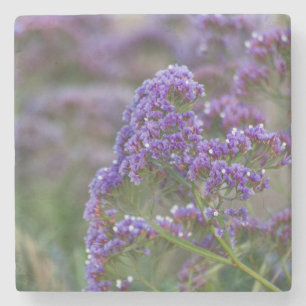 Posavasos De Piedra Lavanda junto al océano