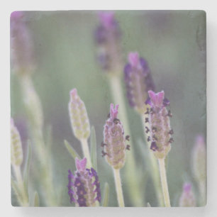 Posavasos De Piedra Lavanda mexicana