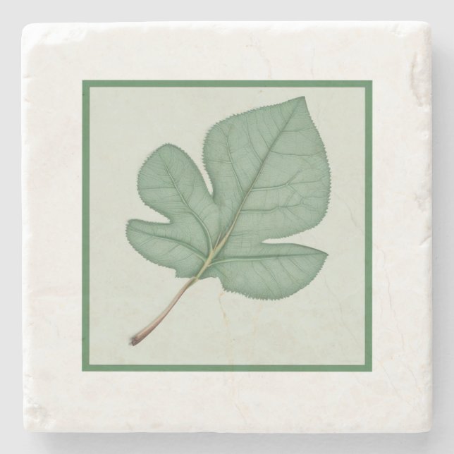 Posavasos De Piedra Leaf verde (Anverso)