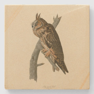 Posavasos De Piedra Lechuza de orejas largas de las aves estadounidens