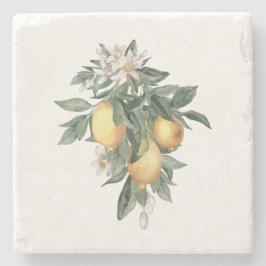 Posavasos De Piedra Lemon Fruit Marble Stone Coaster