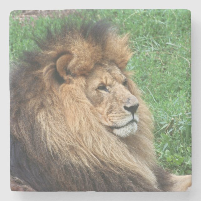 Posavasos De Piedra León 001 (Anverso)