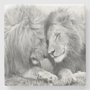 Posavasos De Piedra Leones