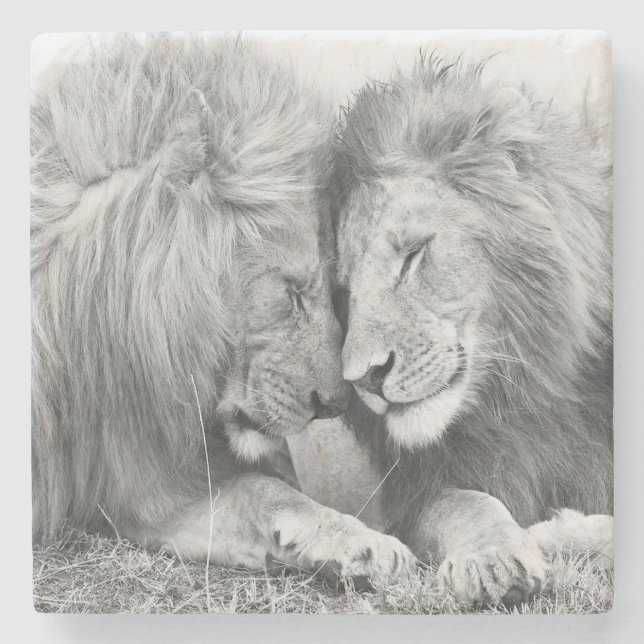 Posavasos De Piedra Leones (Anverso)