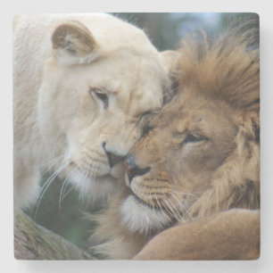 Posavasos De Piedra Leones