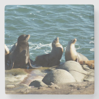Posavasos De Piedra Leones del mar de San Diego