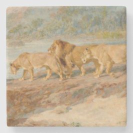 Posavasos De Piedra Leones en la ribera de un río africano