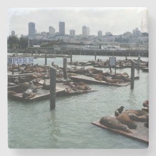 Posavasos De Piedra Leones marinos de San Francisco y Pier 39 Panorama