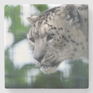 Posavasos De Piedra Leopard 003