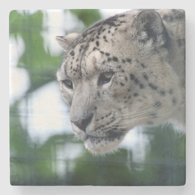 Posavasos De Piedra Leopard 003 (Anverso)