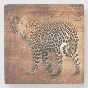 Posavasos De Piedra Leopardo